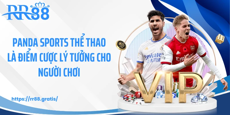 Panda Sports Thể Thao là điểm cược lý tưởng cho người chơi
